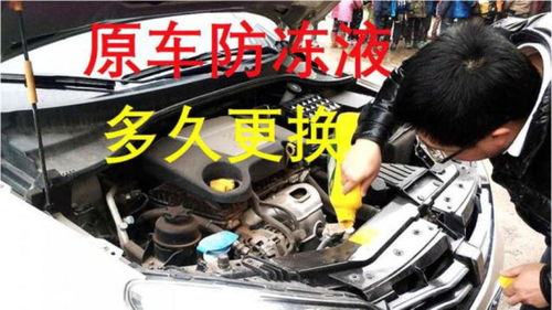 汽车需要多少冷凝液