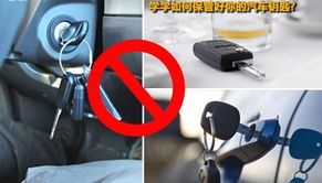 汽车钥匙上有多少细菌