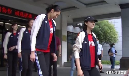 贾乃亮乔欣时隔3年再合体