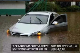 你的汽车赔了多少