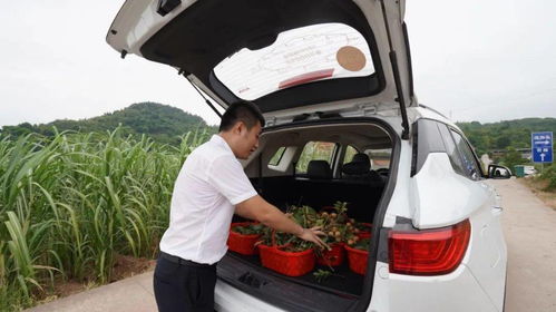 汽车满载需要多少斤