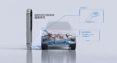 汽车一电池多少v