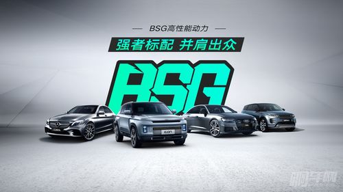 汽车粘胶性能要求多少
