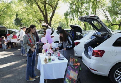 汽车集市成本多少