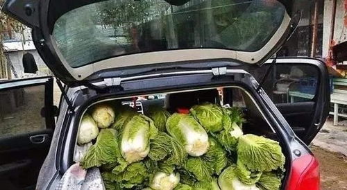 汽车可以放多少菜