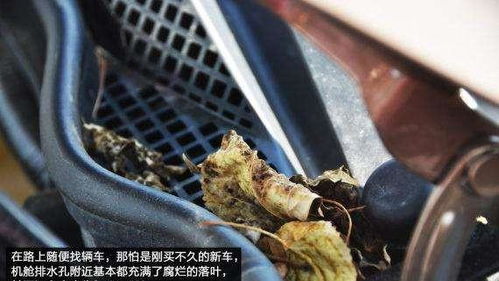 汽车排水孔深度多少 汽车排水孔深度多少