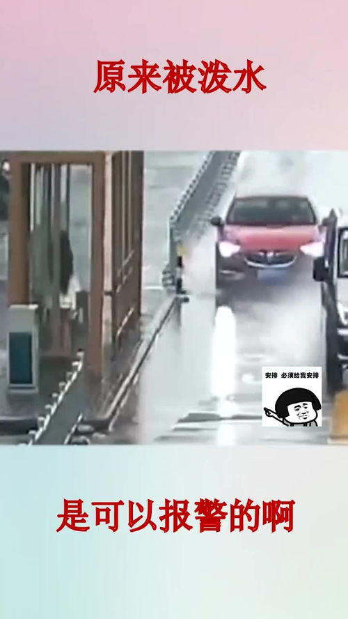 汽车溅水被罚款多少