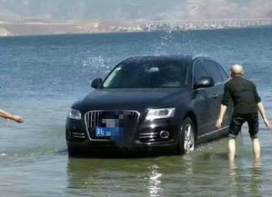 环洱海汽车油费多少