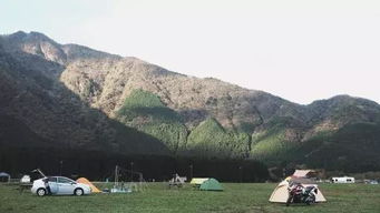 汽车露营费用大概多少