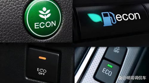 汽车eco能节油多少