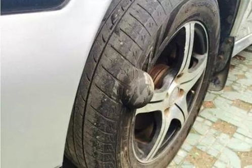 拉萨汽车换轮胎多少